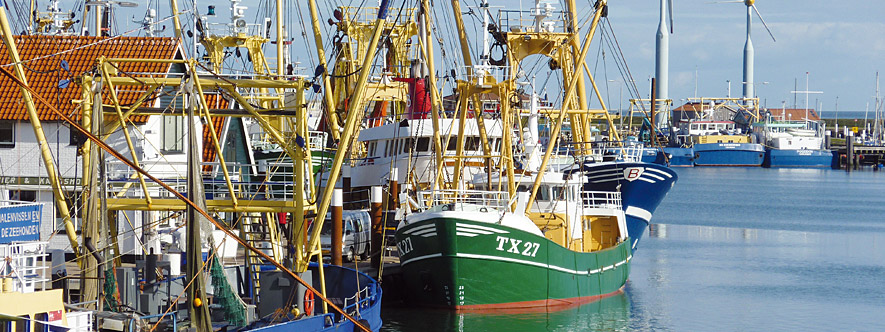 Väter mit ihren Kindern bei einem Segeltörn in  Enkhuizen / Iissel-Wattenmeer Holland